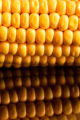 yellow sweet corn grain and a cob in the background.