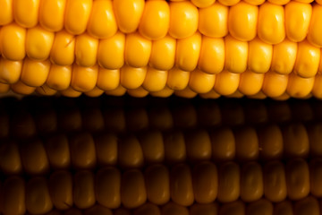 yellow sweet corn grain and a cob in the background.