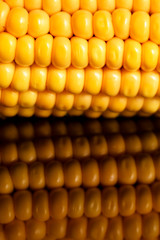 yellow sweet corn grain and a cob in the background.