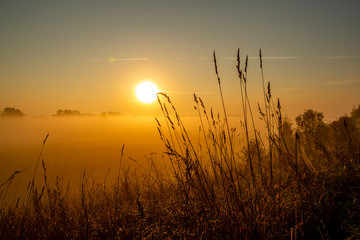 Fototapeta na wymiar Early morning mist