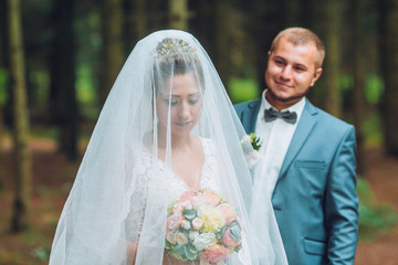 The newlyweds hug under a veil. Groom and bride against the backdrop of beautiful nature. A great...