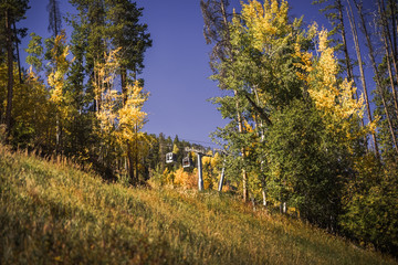 A gondola on Vail Mountains between autumn leaves. 