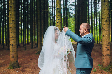 The newlyweds hug under a veil. Groom and bride against the backdrop of beautiful nature. A great...