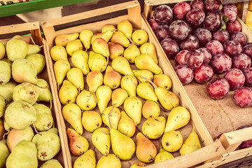 Fruit street market in Italy. Fresh pears and plums