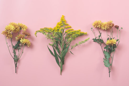 Fototapeta Golden-daisy on pastel pink. Floral pattern. Fall.
