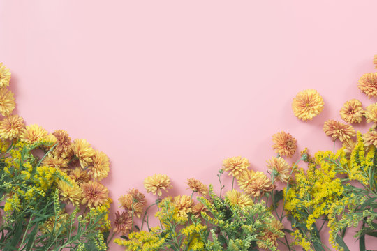 Fototapeta Golden-daisy flowers as border on pastel pink background. Floral pattern. Fall.
