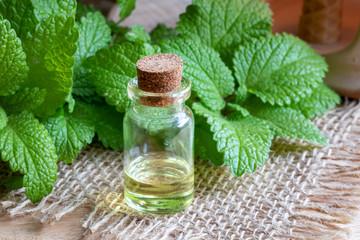 A bottle of melissa essential oil with fresh melissa twigs