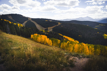 Landscape view of ski runs in Vail, Colorado during autumn.  - obrazy, fototapety, plakaty