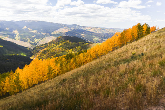Landscape view of the Rocky Mountains during autmn as the leaves change colors. © Rosemary