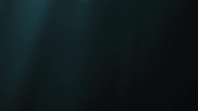 Light Hole and falling particules in an Indonesian cave
Puit de Lumi&radic;&reg;re et particules qui tombent dans une grotte Indonesienne.