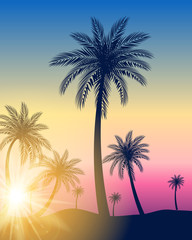 Obraz na płótnie Canvas Beautifil Palm Tree Leaf Silhouette Background Vector Illustration