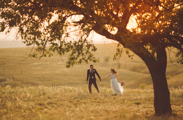 groom and bride in a wedding dress going through the field on a background of  sunset.