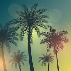 Fototapeta na wymiar Beautifil Palm Tree Leaf Silhouette Background Vector Illustration