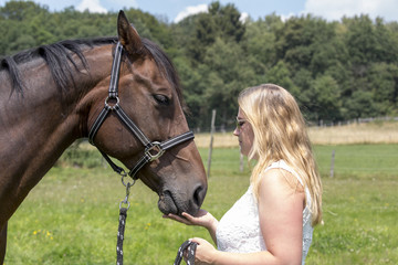 Pferd wird von Besitzerin/Reiterin gefüttert