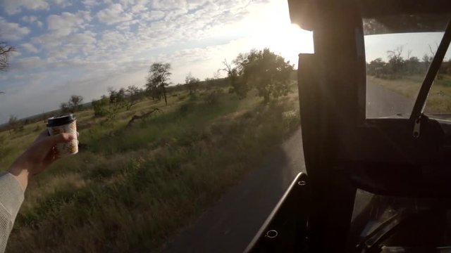 Driving in savannah, POV