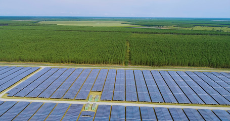 champs de panneaux solaire dans une ferme solaire