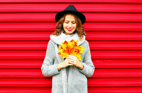 Stylish happy portrait woman holds yellow maple leaves on a red background