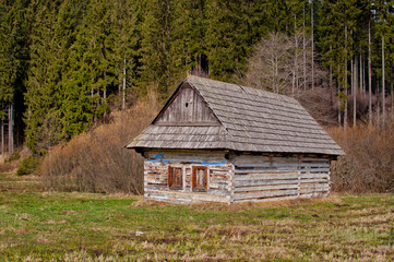 Old log home
