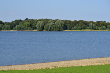 landscape with lake and trees
