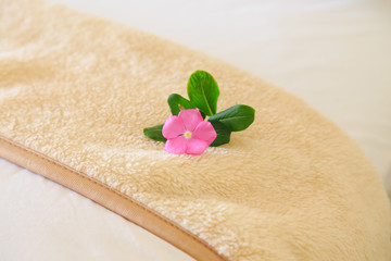 delicate pink flower on the bedspread