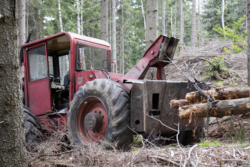 Red tractor in the forest with tree © Jakub