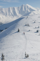 Group of people hiking in Polish Western Tatra mountains during sunny day in winter.