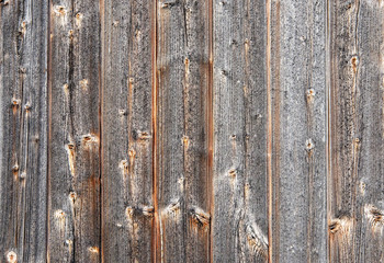 Stark gemaserte, rustikale Holzwand als Hintergrund