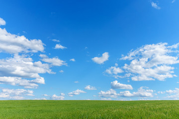 Fototapeta na wymiar Blank landscape with green field blue sky and clouds