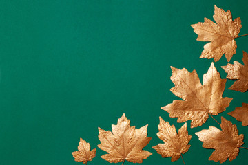 Maple leaves of gold color spread out on a green background.