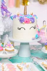 Little girl Birthday party