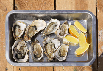 delicacy. fresh oysters with lemon