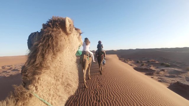 POV, riding camels in desert