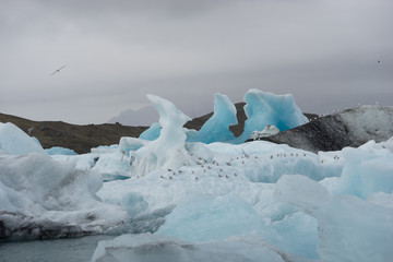 Jökulsárlón Gletscherlagune am Fuß des Vatnajökull, Island