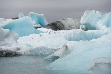 Jökulsárlón Gletscherlagune am Fuß des Vatnajökull, Island