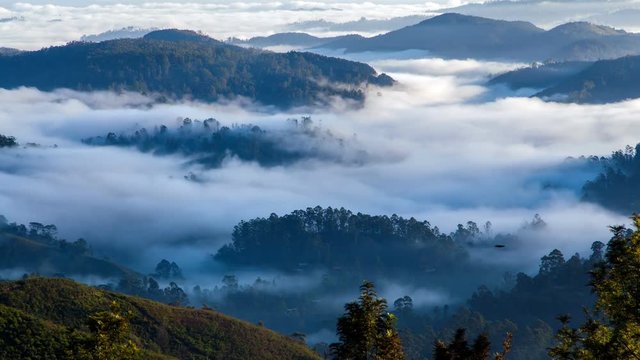 morning fog landscape in the forest mountains, Sri Lanka timelapse