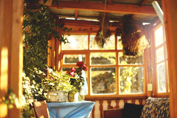 colorful autumn flowers in the old summerhouse