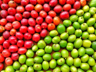 Red and Green Coffee Beans Texture Background, Yin Yang Concept