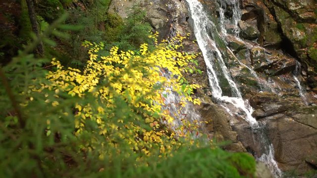 Small Flowing Waterfall with Yellow Foliage Foreground, New England, USA