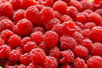 raspberry lot of berries texture background