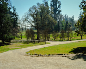 Park