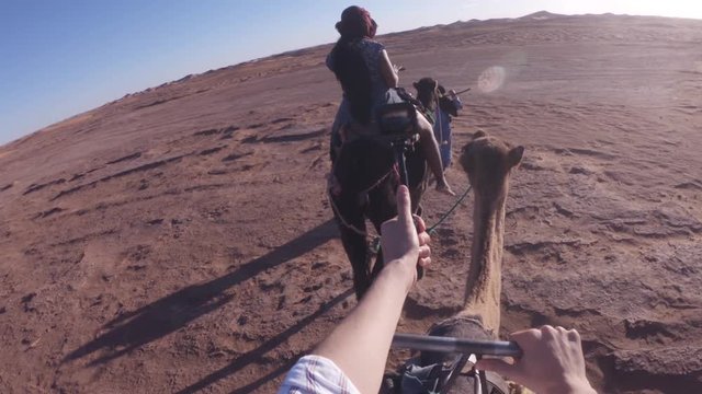 People On Camel Riding Tour, POV