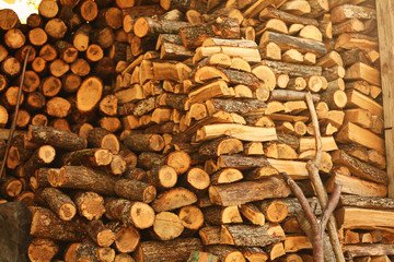 log of chopped firewood