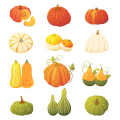 Colorful pumpkin set
