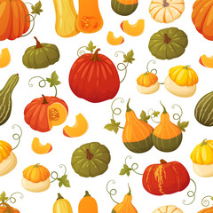 Colorful pumpkin pattern