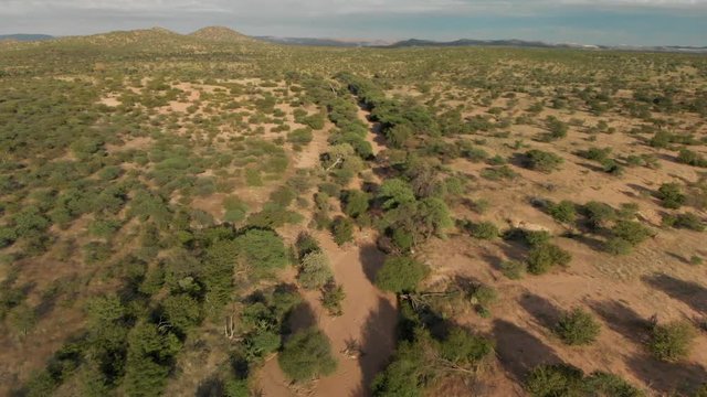 4K scenic flight over dried up river bed and green grassland savanna at golden hour, namibia