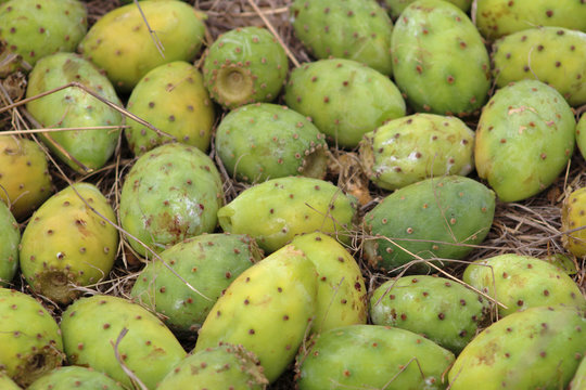 Higo Chumbo, higo pico o tuno