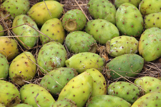 Higo Chumbo, higo pico o tuno