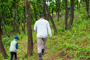 Defocus man and a boy collect mushrooms in the forest Wildlife active recreation tourism