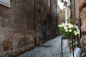ROMA, LA CITTà ETERNA