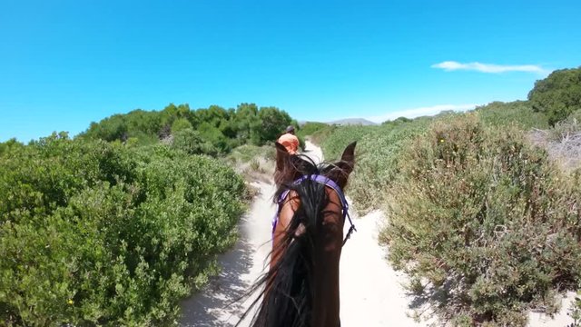 POV, galloping horse riding in Cape Town